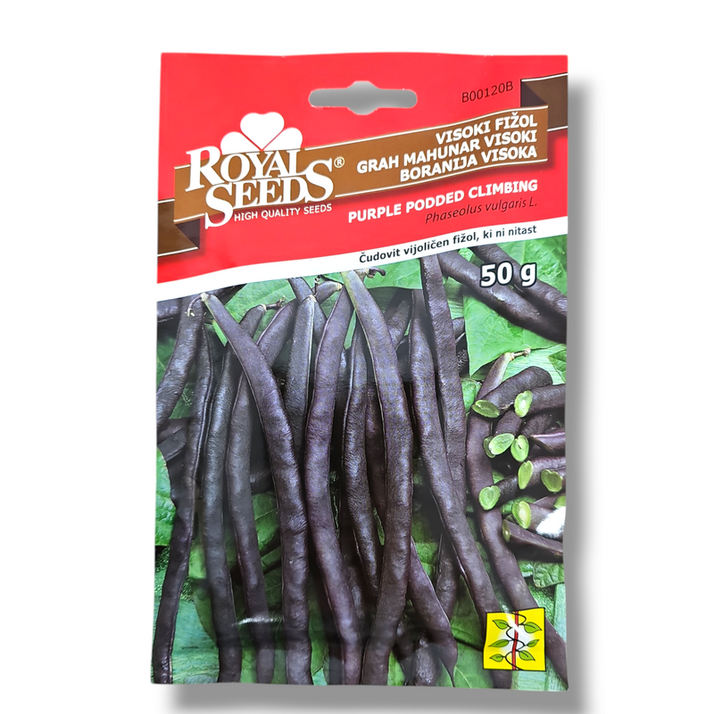 Visoki fižol Royal Seeds