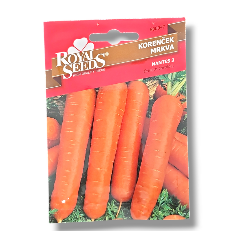 Korenček Royal Seeds