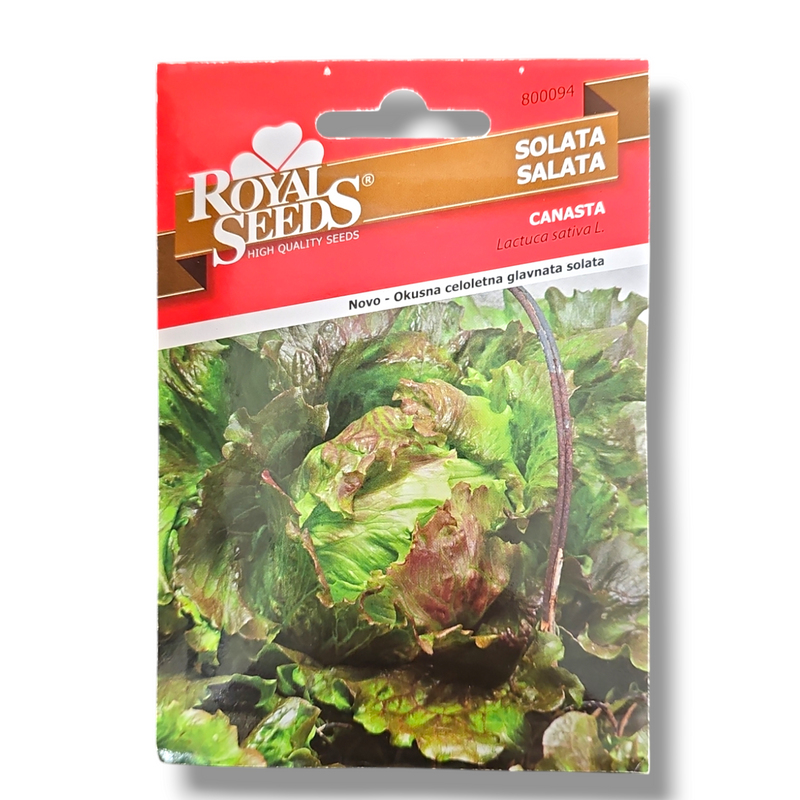 Solata Canasta Royal Seeds