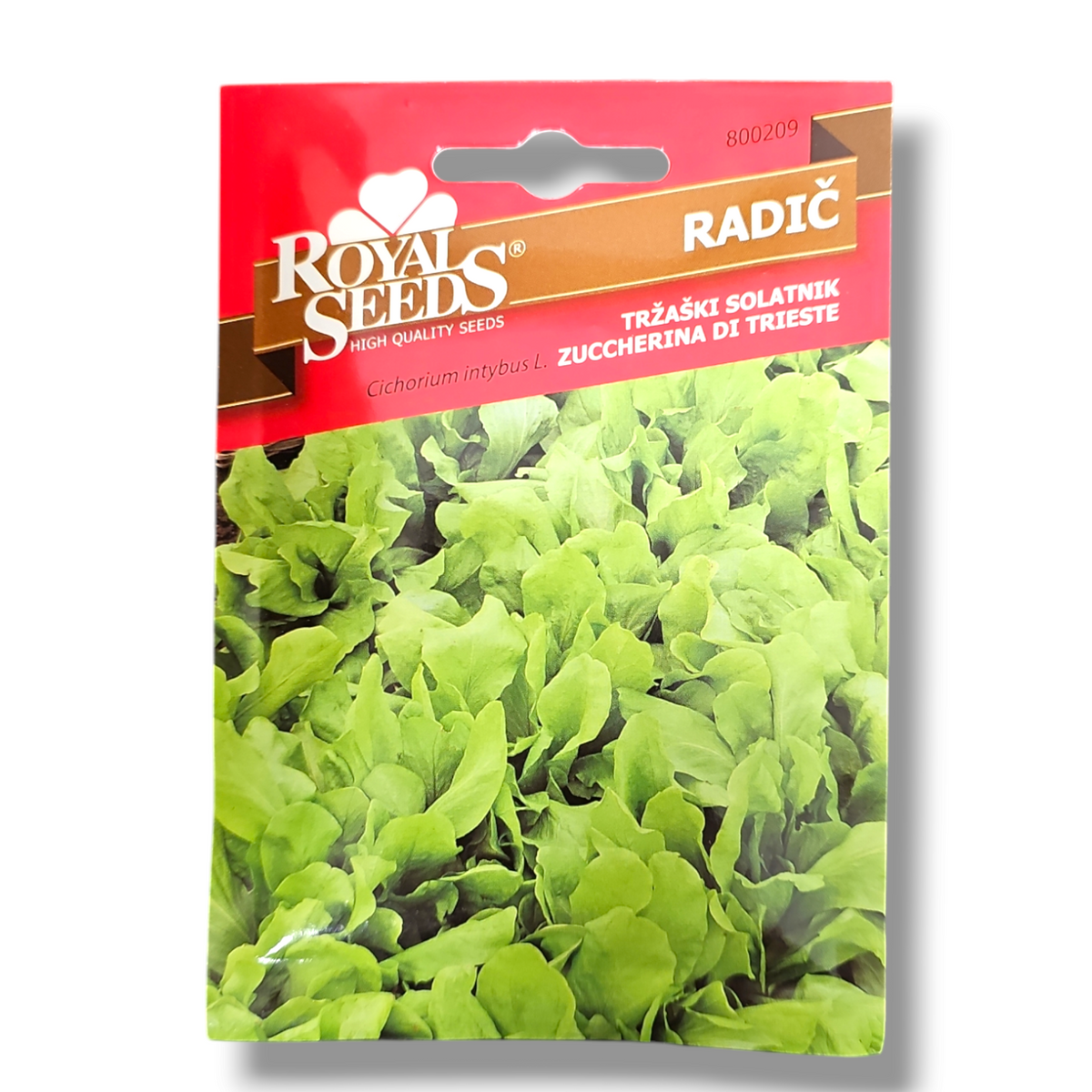 Radič Tržaški solatnik Royal Seeds