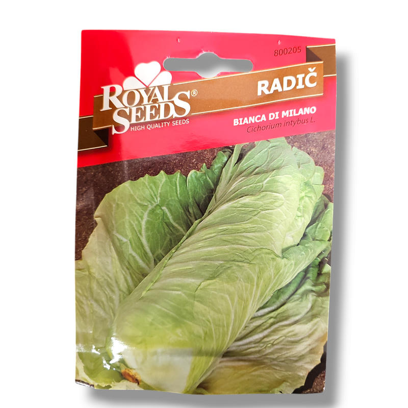 Radič Royal Seeds