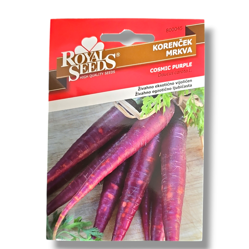 Korenček Cosmic purple Royal Seeds