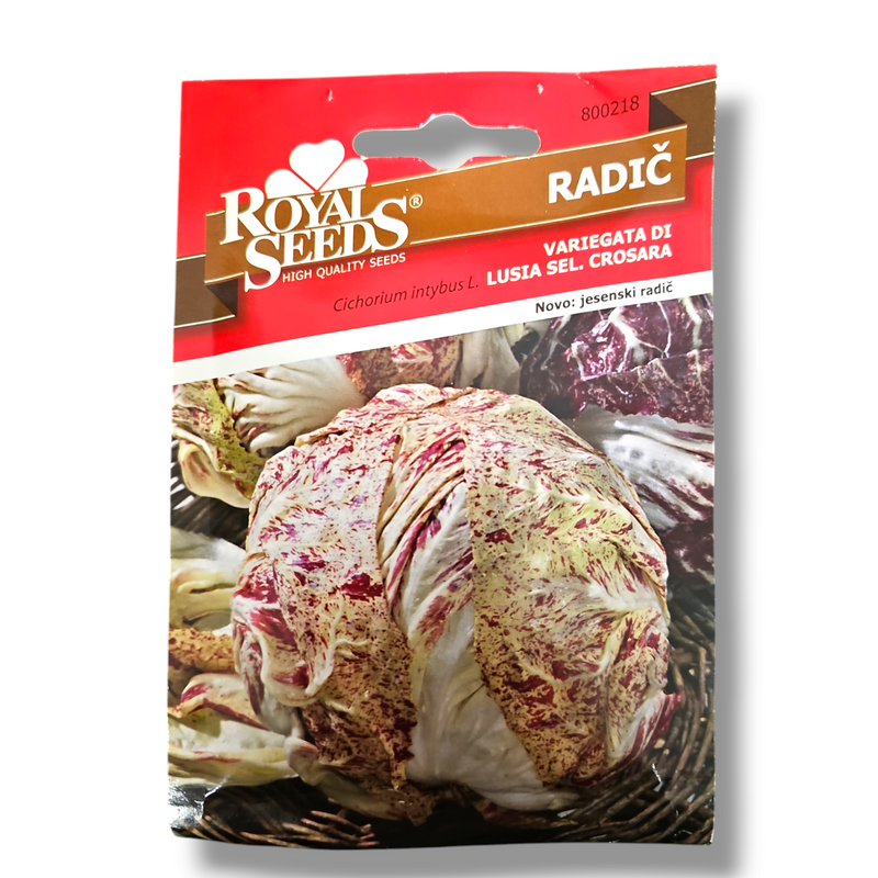 Radič Royal Seeds