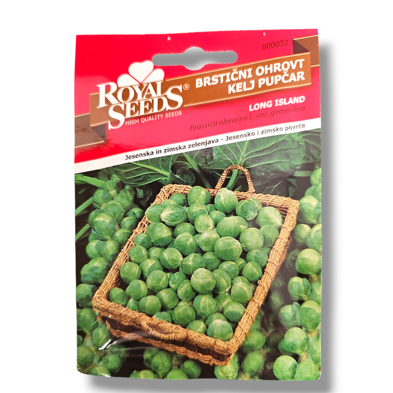 Brstični ohrovt Long Island Royal Seeds