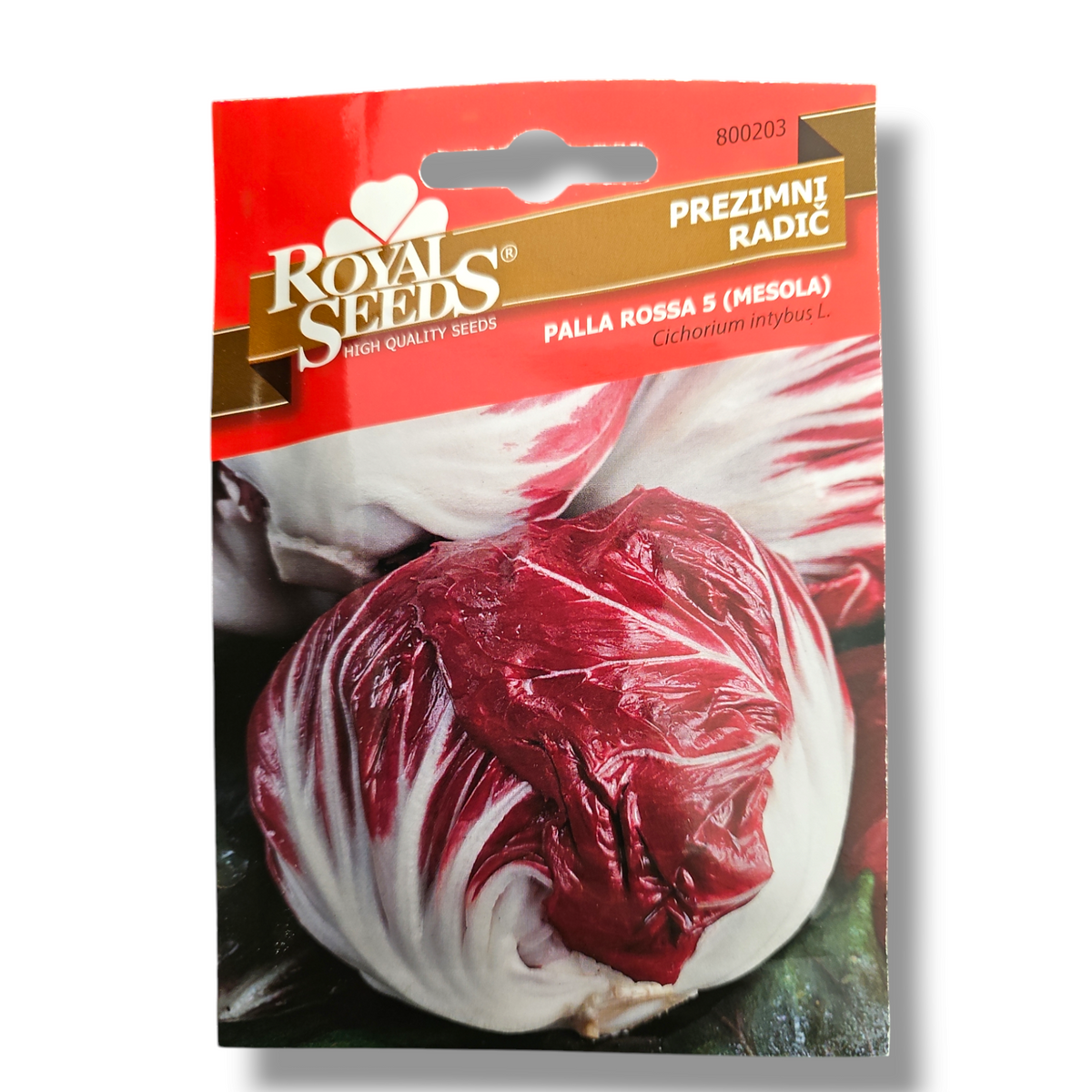 Prezimni radič Royal Seeds