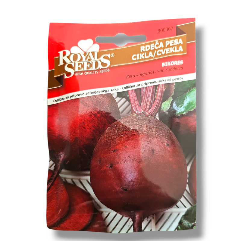 Rdeča pesa Bikores Royal Seeds