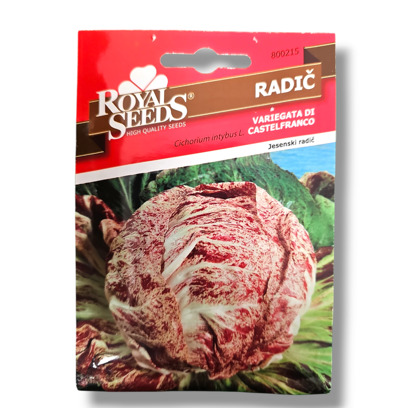 Radič Royal Seeds 