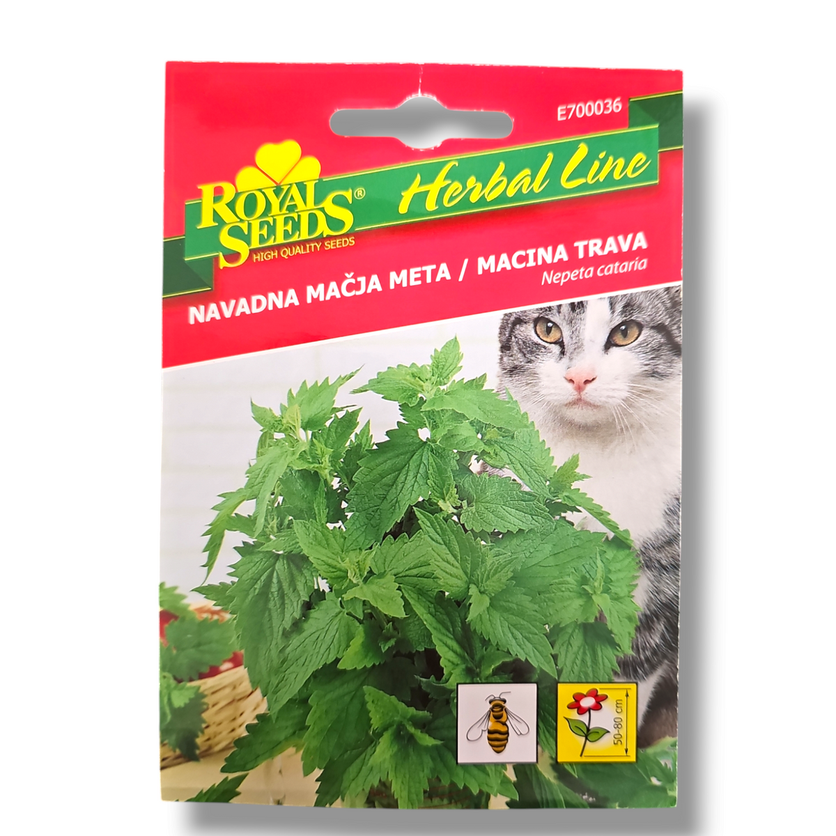 Navadna mačja Meta Royal Seeds