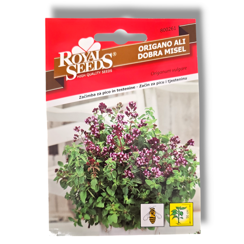 Origano ali dobra misel Royal Seeds