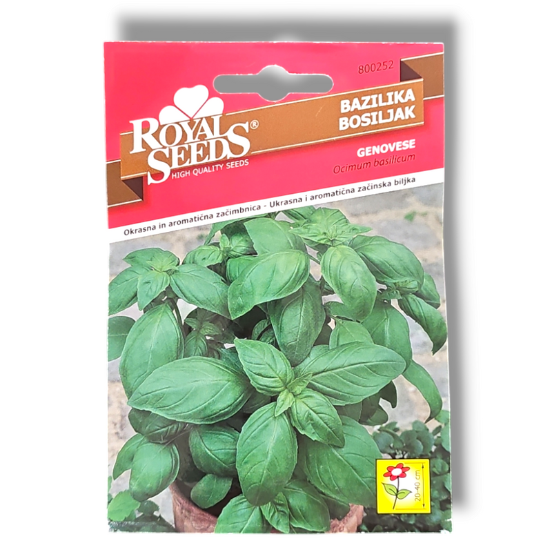 Bazilika Genovese Royal Seeds