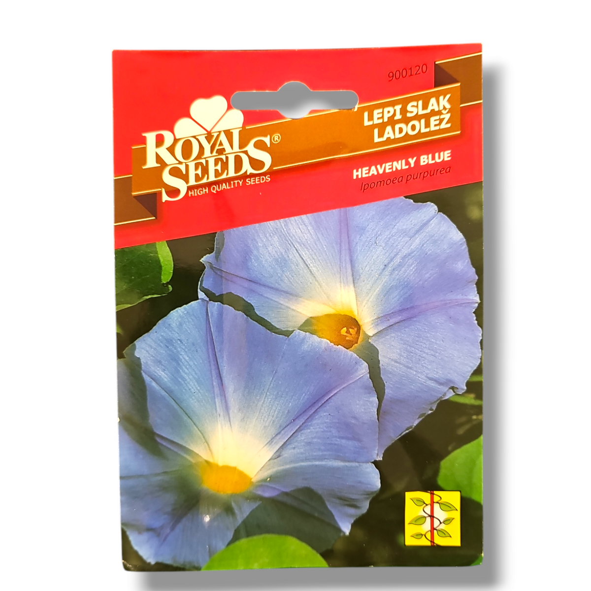 Lepi slak Heavenly blue Royal Seeds