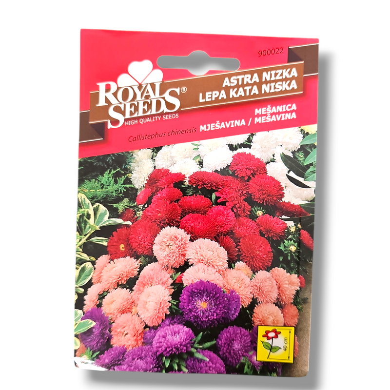 Astra nizka mešanica Royal Seeds